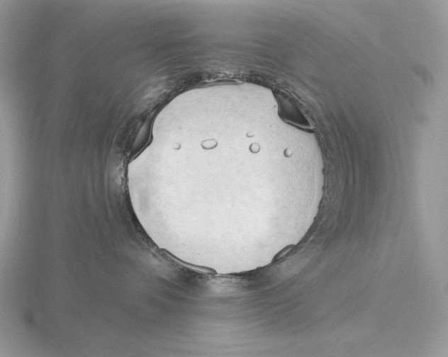 X0000115790336200912111153