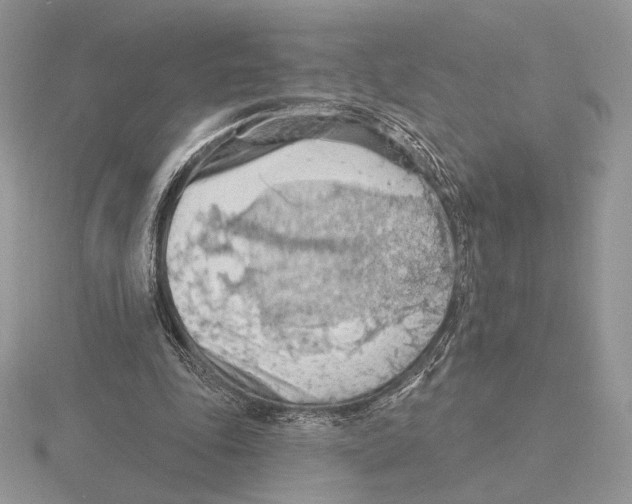 X0000115790343200912111153