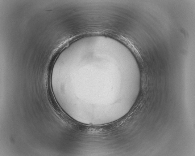 X0000115790346200912111153