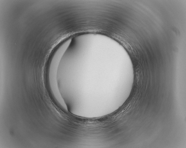 X0000115790350200912111153