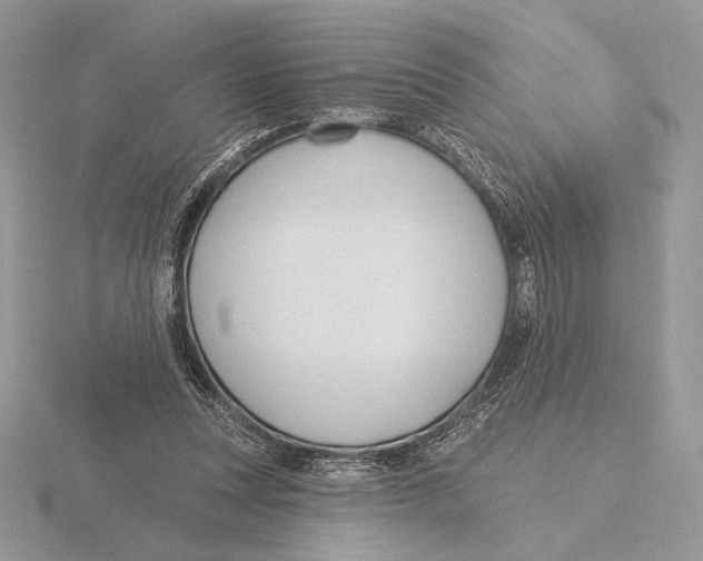 X0000115790351200912111153