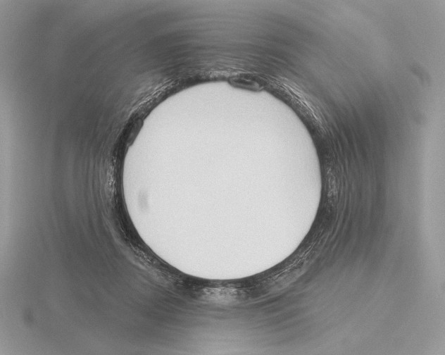 X0000115790362200912111153