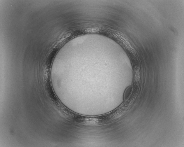 X0000115790363200912111153