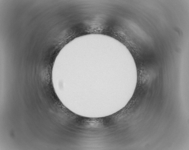 X0000115790370200912111153