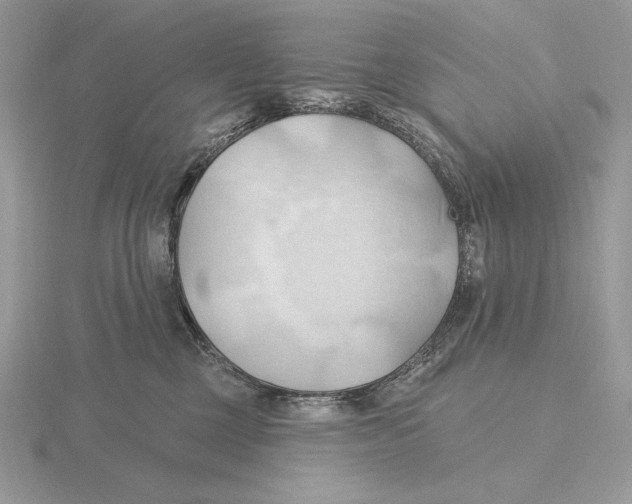 X0000115790377200912111153