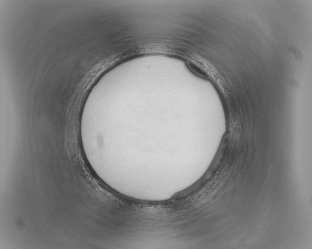 X0000115790385200912111153