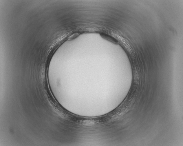 X0000115790394200912111153