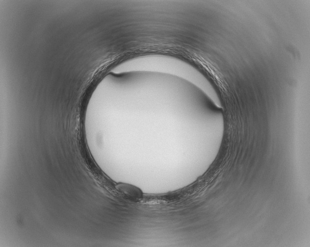 X0000115790407200912111152