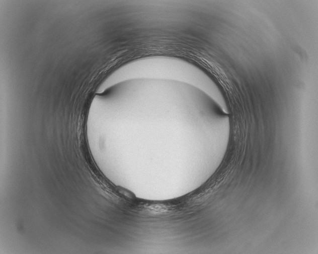 X0000115790409200912111152