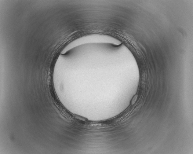 X0000115790413200912111152