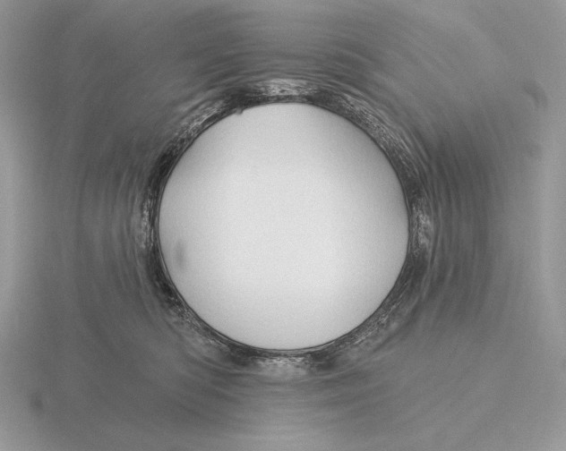 X0000115790422200912111152