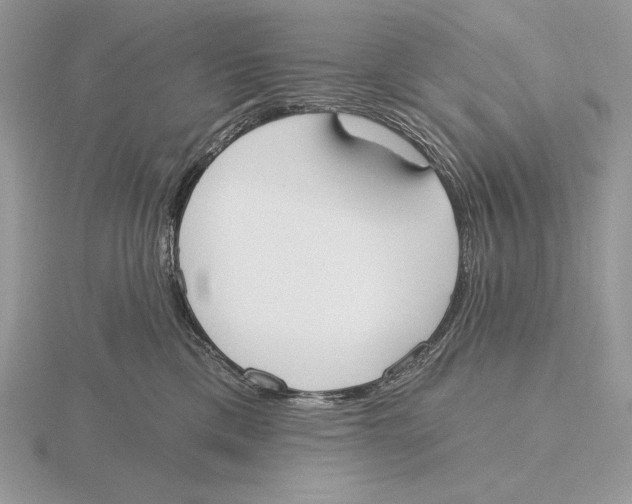 X0000115790425200912111152