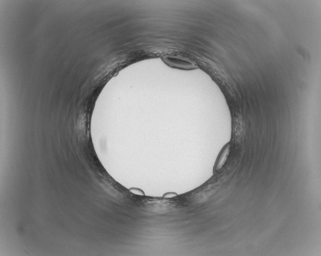 X0000115790428200912111152