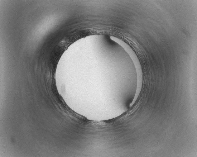X0000115790429200912111152