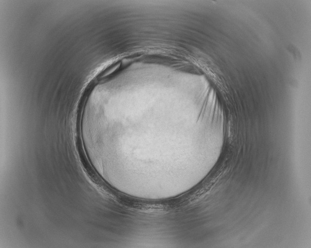 X0000115790438200912111151