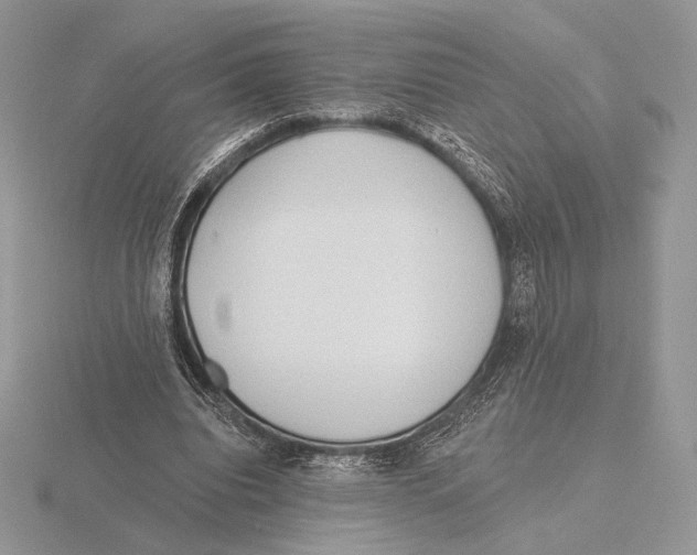 X0000115790440200912111151