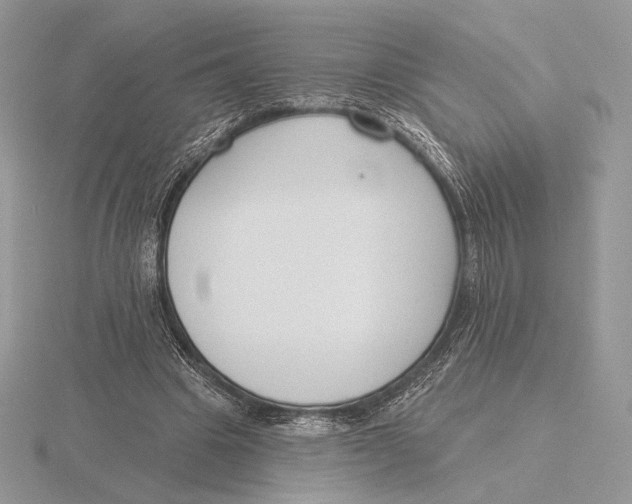 X0000115790441200912111151