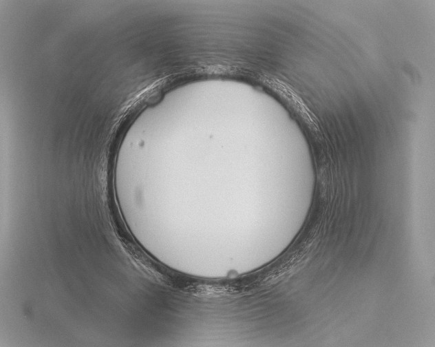 X0000115790442200912111151