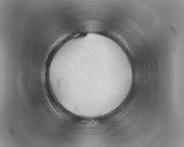 X0000115790443200912111151