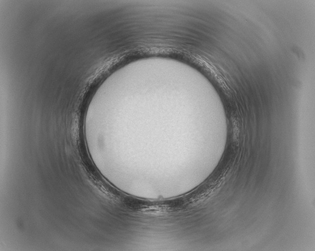 X0000115790447200912111152