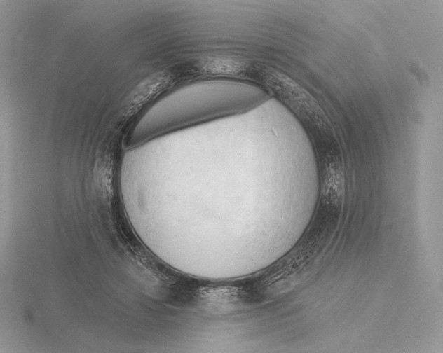 X0000115790452200912111152