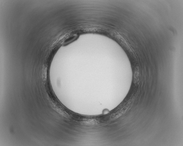 X0000115790454200912111152