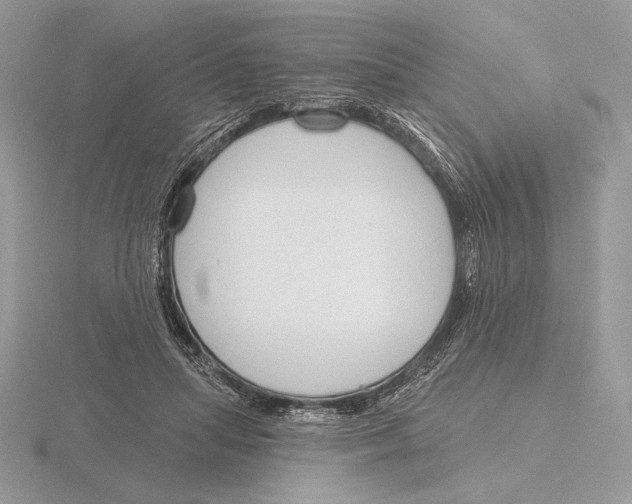 X0000115790455200912111152