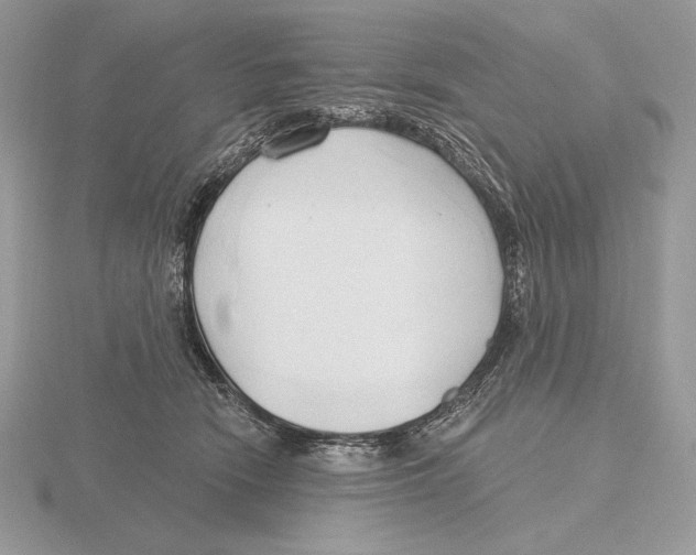 X0000115790466200912111152