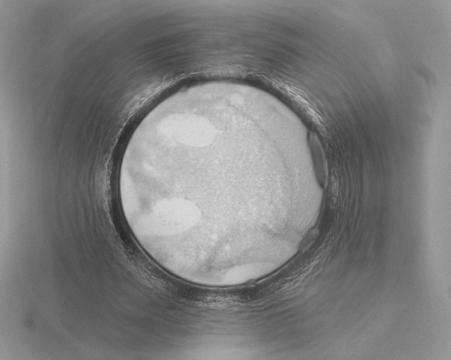 X0000115790487200912111151