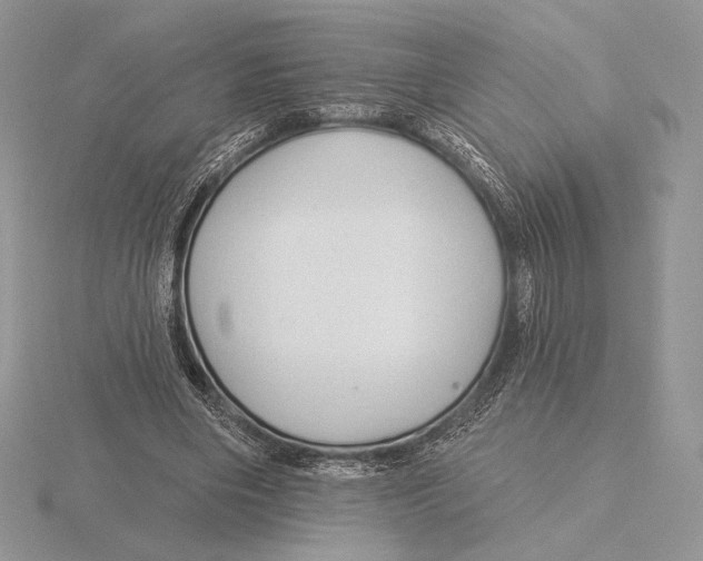 X0000115790490200912111151