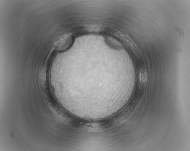 X0000115790492200912111151