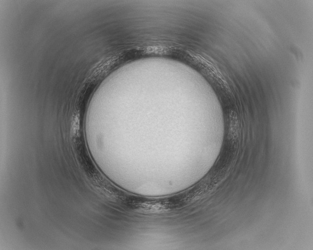 X0000115790502200912111151