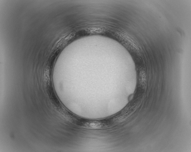 X0000115790506200912111151