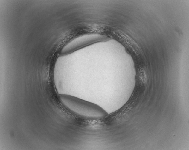 X0000115790512200912111151