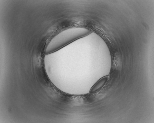 X0000115790520200912111151