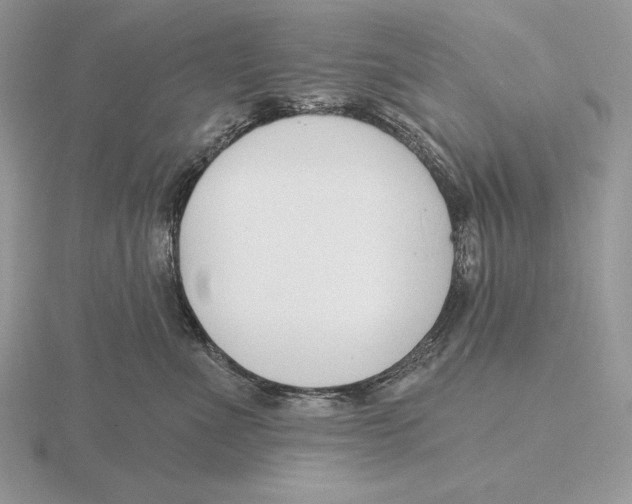 X0000115790523200912111151
