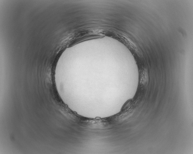 X0000115790524200912111151