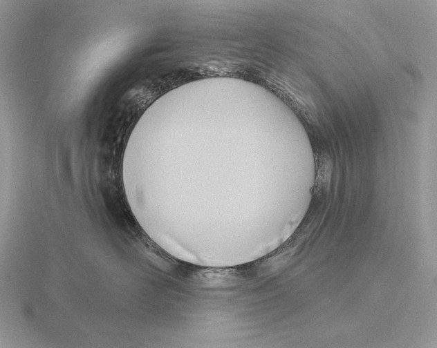 X0000115790526200912111151