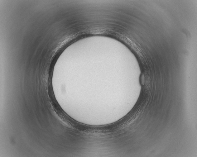 X0000115790530200912111150