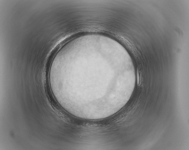 X0000115790531200912111150