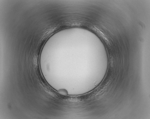 X0000115790537200912111150