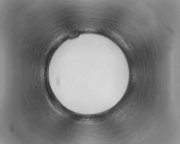 X0000115790538200912111150