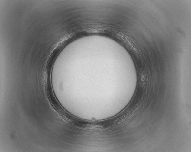 X0000115790539200912111150