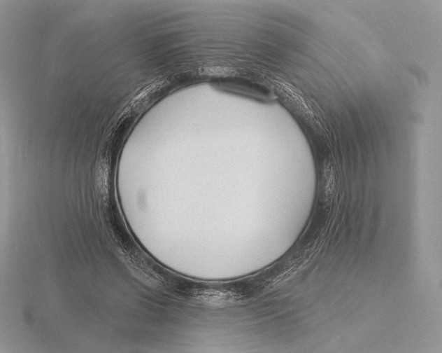 X0000115790542200912111150
