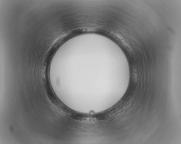 X0000115790543200912111150