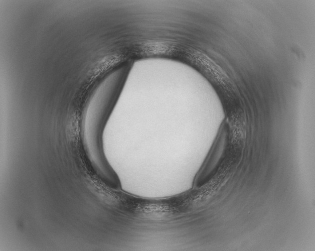 X0000115790546200912111150