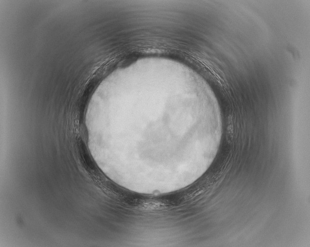 X0000115790547200912111150