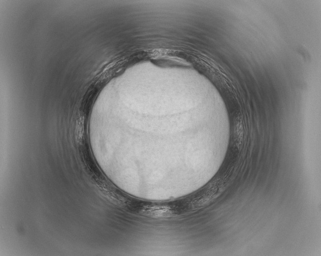 X0000115790554200912111150