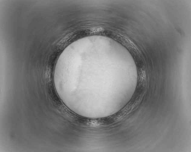 X0000115790565200912111150