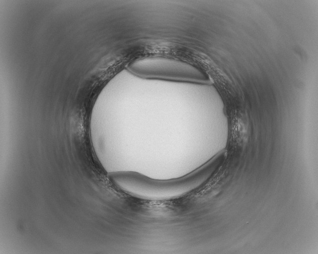 X0000115790566200912111150